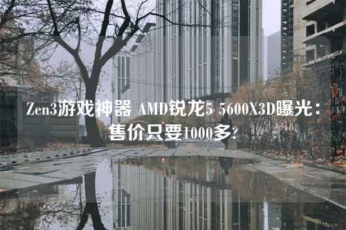 Zen3游戏神器 AMD锐龙5 5600X3D曝光:售价只要1000多?
