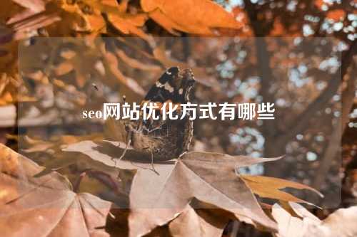 seo网站优化方式有哪些