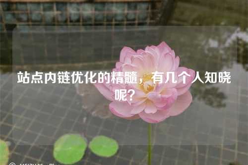 站点内链优化的精髓,有几个人知晓呢?