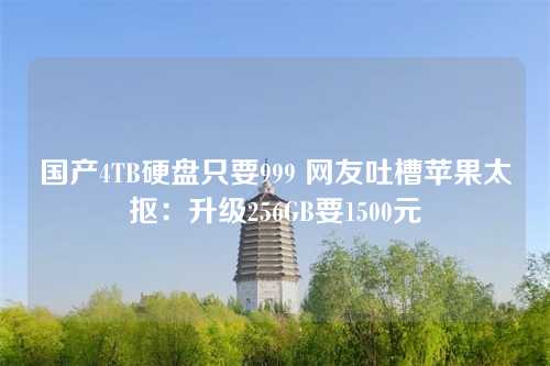 国产4TB硬盘只要999 网友吐槽苹果太抠:升级256GB要1500元
