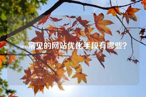 seo常见的网站优化手段有哪些?