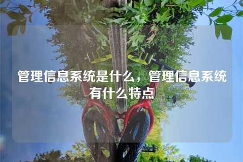 管理信息系统是什么,管理信息系统有什么特点