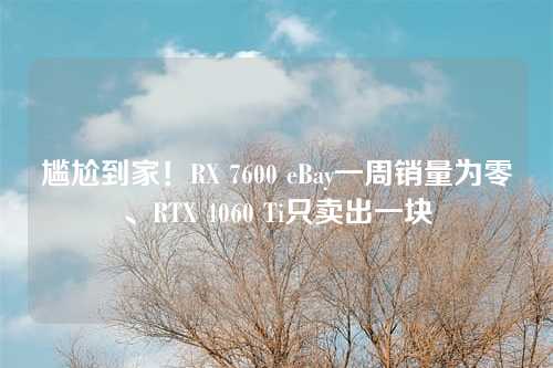 尴尬到家!RX 7600 eBay一周销量为零、RTX 4060 Ti只卖出一块