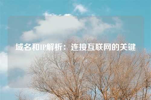 域名和IP解析:连接互联网的关键
