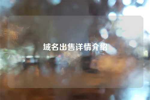 域名出售详情介绍