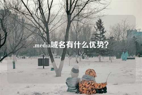 .media域名有什么优势?