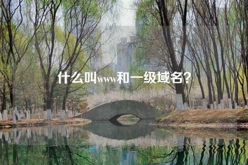 什么叫www和一级域名?