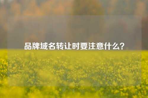 品牌域名转让时要注意什么?