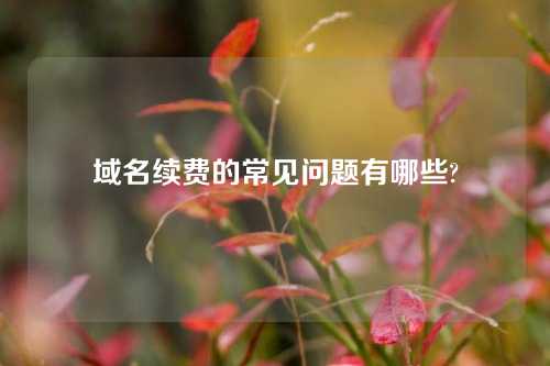 域名续费的常见问题有哪些?
