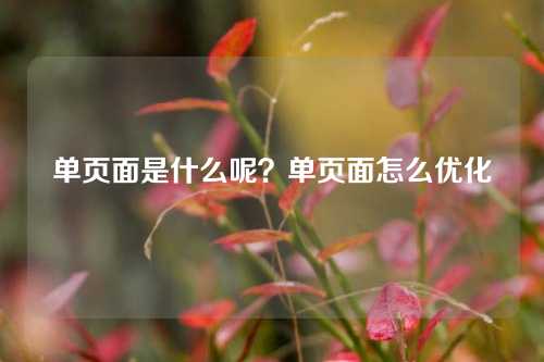 单页面是什么呢?单页面怎么优化