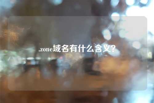 .zone域名有什么含义?