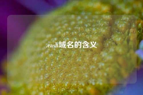 .cash域名的含义