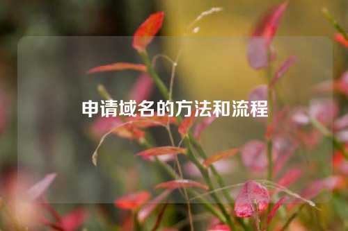 申请域名的方法和流程
