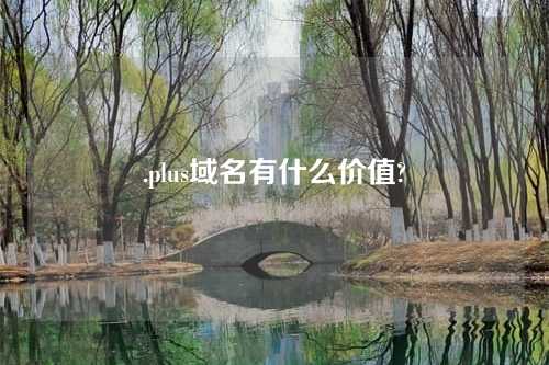 .plus域名有什么价值?