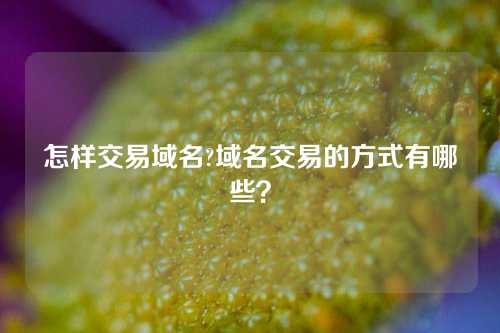 怎样交易域名?域名交易的方式有哪些?
