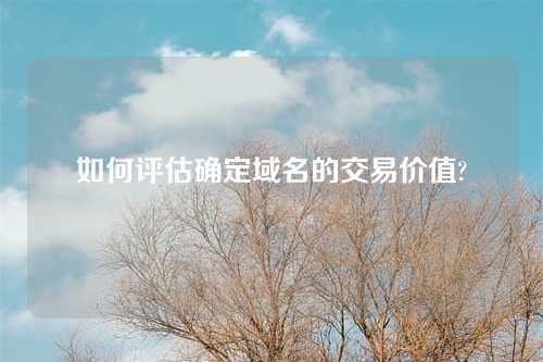 如何评估确定域名的交易价值?