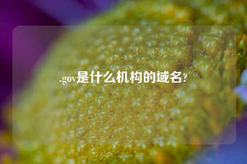 .gov是什么机构的域名?