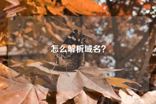 怎么解析域名?
