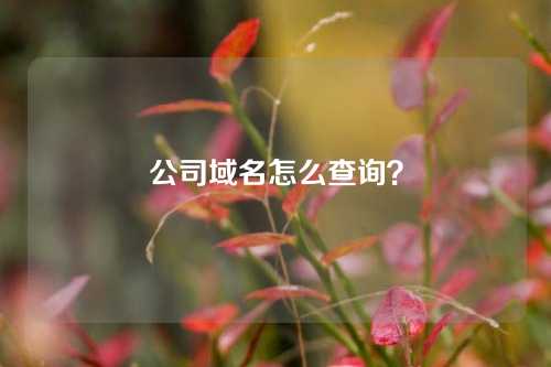 公司域名怎么查询?