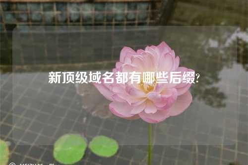 新顶级域名都有哪些后缀?