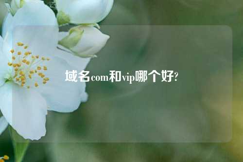 域名com和vip哪个好?