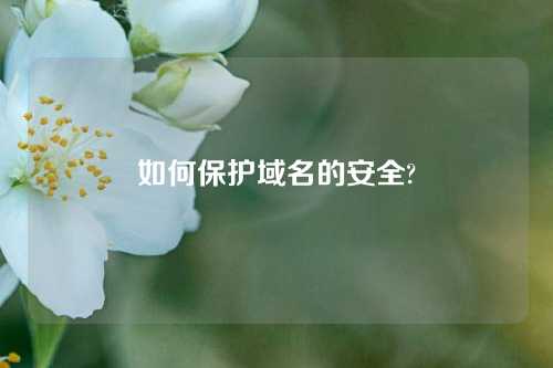 如何保护域名的安全?
