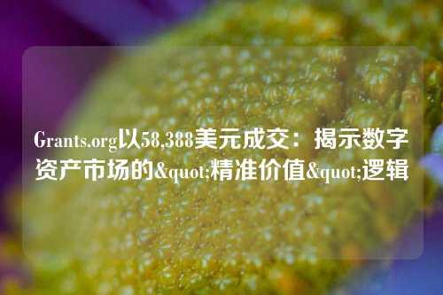 Grants.org以58,388美元成交：揭示数字资产市场的"精准价值"逻辑
