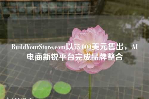 BuildYourStore.com以75,000美元售出，AI电商新锐平台完成品牌整合
